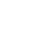 vector (4)