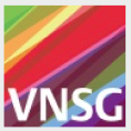 vnsg